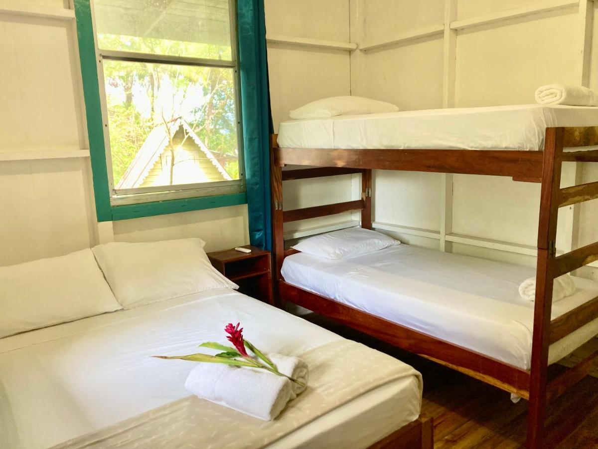 Drago Beach House Boca del Drago Zewnętrze zdjęcie